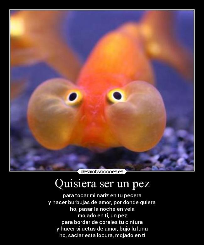 Quisiera ser un pez - 