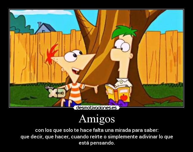 Amigos -