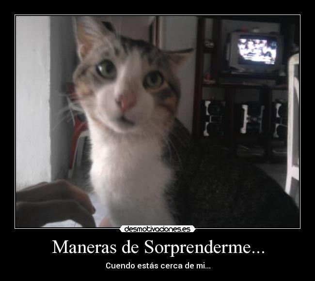 Maneras de Sorprenderme... -