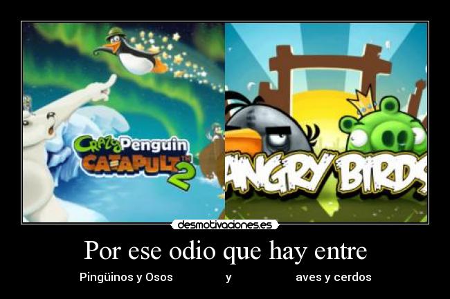 Por ese odio que hay entre - Pingüinos y Osos y aves y cerdos