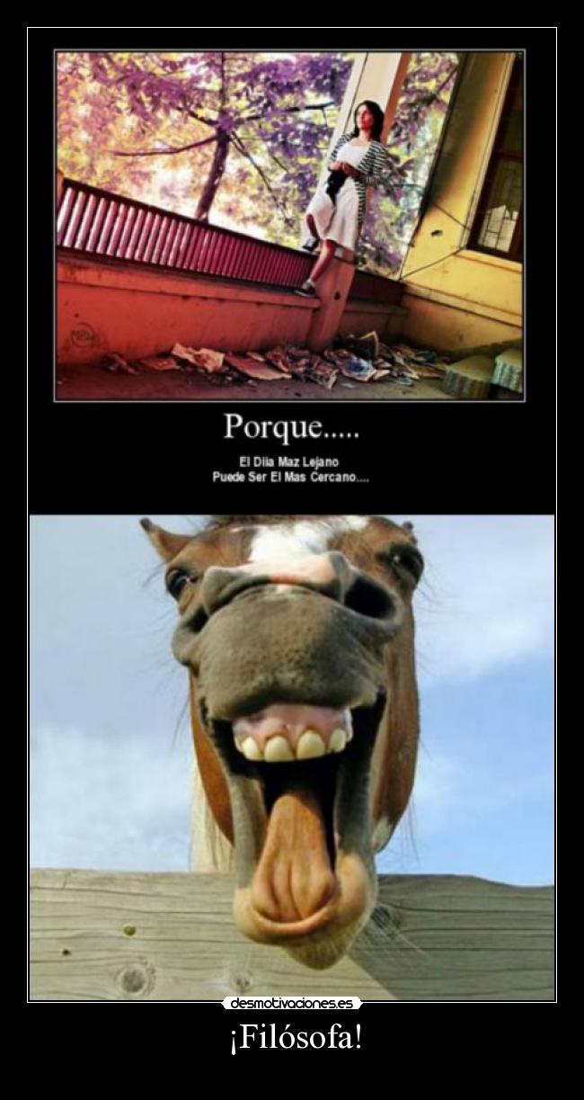 ¡Filósofa! -