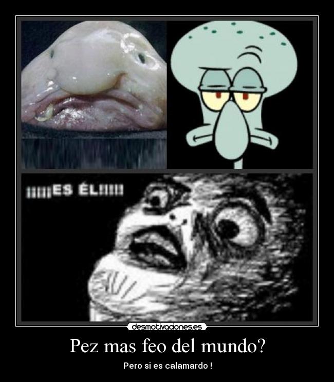 Pez mas feo del mundo? -