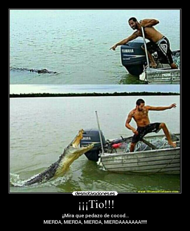 ¡¡¡Tio!!! - ¡¡Mira que pedazo de cocod...
MIERDA, MIERDA, MIERDA, MIERDAAAAAAA!!!!!