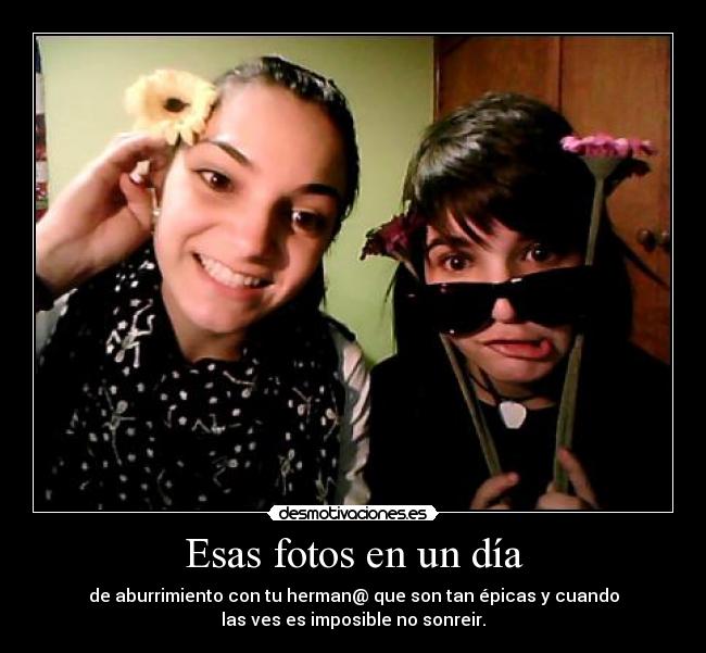 carteles maka two makasister one desmotivaciones