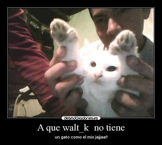 carteles walt desmotivaciones