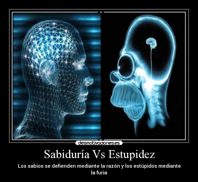 carteles los sabios defienden mediante razon los estupidos mediante furia desmotivaciones