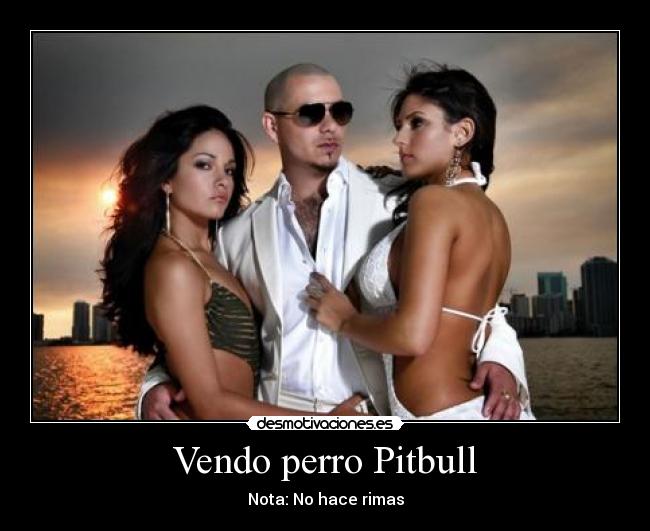 Vendo perro Pitbull - Nota: No hace rimas