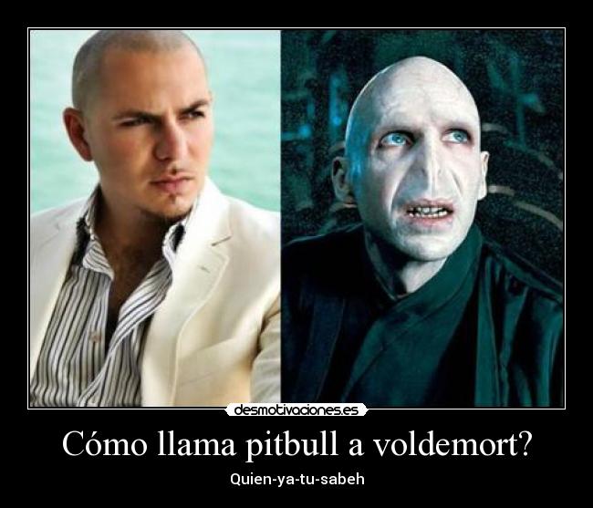 Cómo llama pitbull a voldemort? -