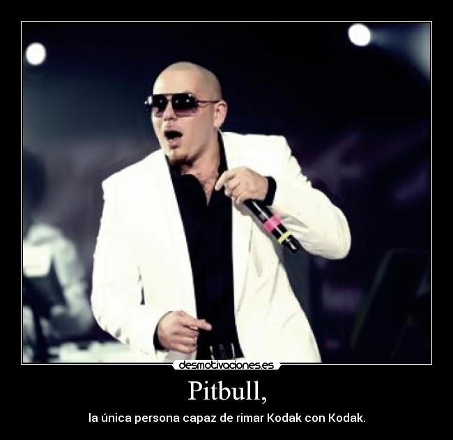 Pitbull, -