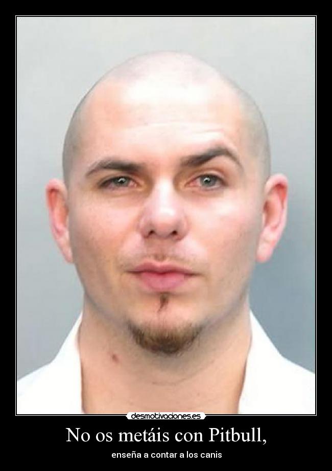 No os metáis con Pitbull, - 