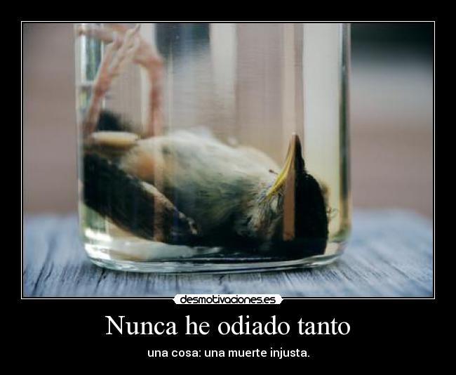 Nunca he odiado tanto - una cosa: una muerte injusta.