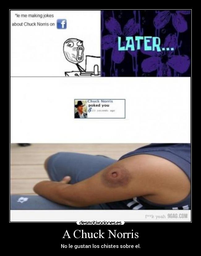 carteles chuk norris chistes desmotivaciones