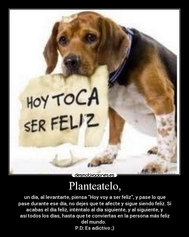 Planteatelo, - un día, al levantarte, piensa Hoy voy a ser feliz, y pase lo que
pase durante ese día, no dejes que te afecte y sigue siendo feliz. Si
acabas el día feliz, inténtalo al día siguiente, y al siguiente, y
así todos los días, hasta que te conviertas en la persona más feliz
del mundo.
P.D: Es adictivo ;)