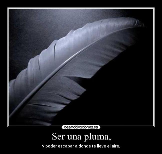 Ser una pluma, - 