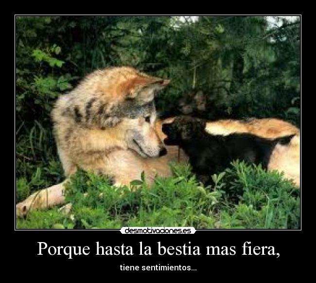 carteles jkiller12 desmotivaciones