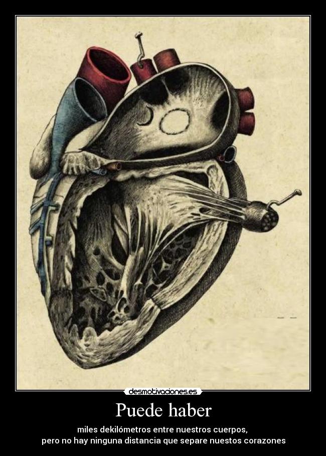 Puede haber - miles dekilómetros entre nuestros cuerpos,
pero no hay ninguna distancia que separe nuestos corazones