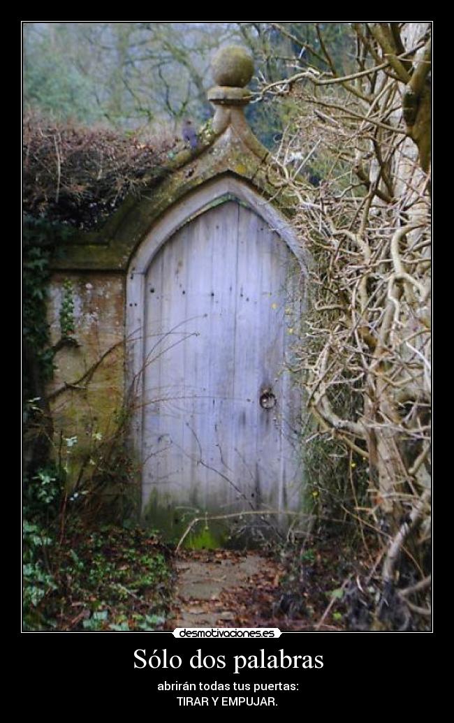 Sólo dos palabras -