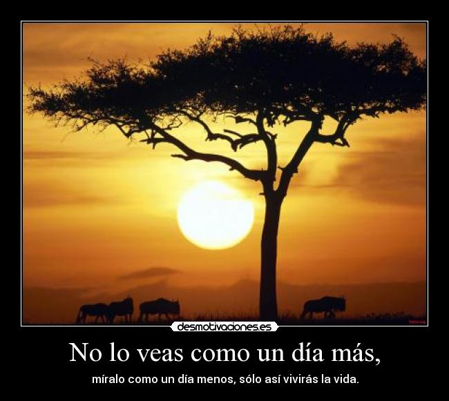 carteles pensamiento desmotivaciones