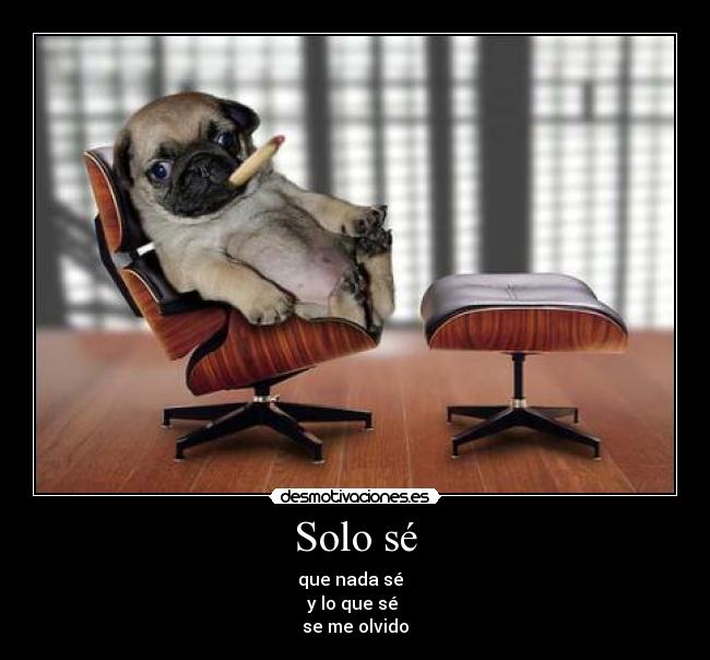 Solo sé - que nada sé
y lo que sé
se me olvido