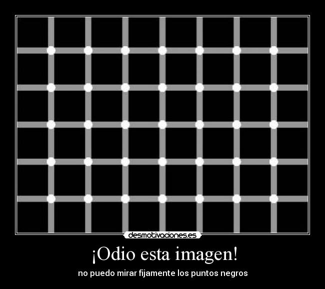 ¡Odio esta imagen! -