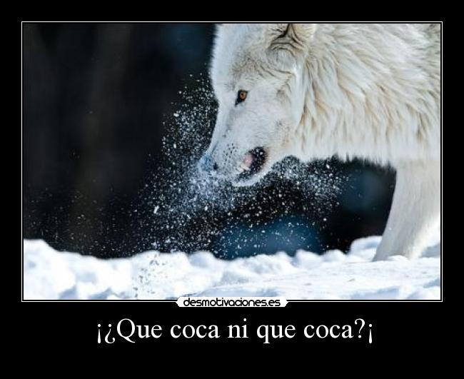 carteles robertico darle droga ira abajo con droga exactamente edificio desmotivaciones