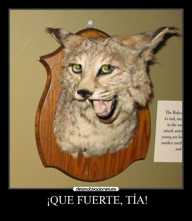¡QUE FUERTE, TÍA! -