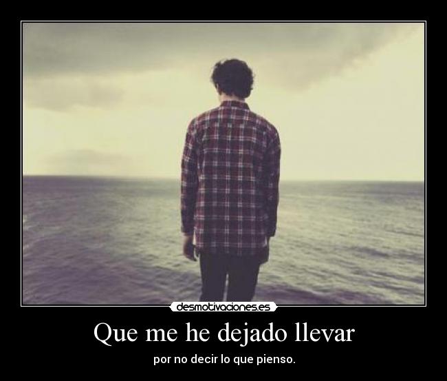 Que me he dejado llevar - por no decir lo que pienso.