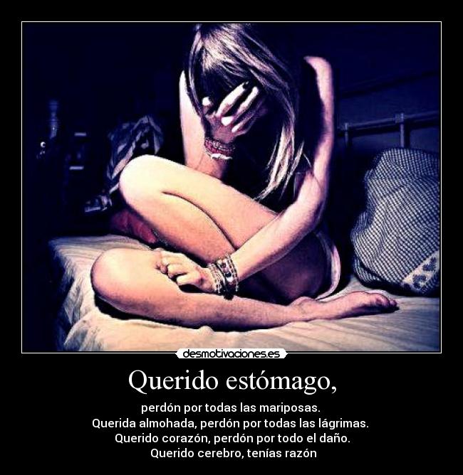 carteles perdon desmotivaciones