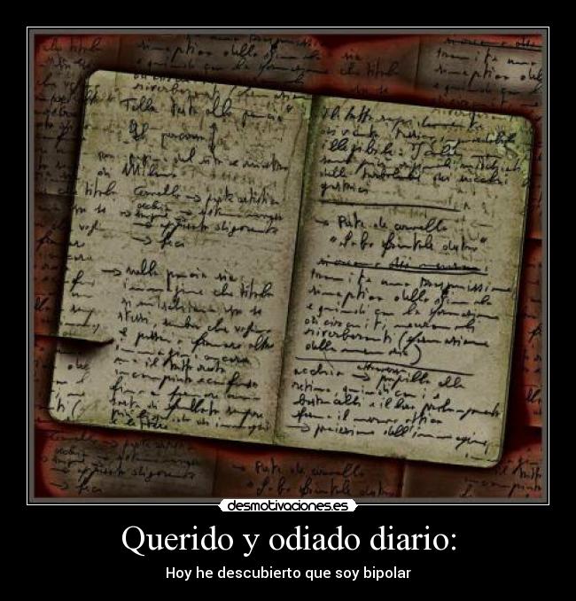 Querido y odiado diario: - Hoy he descubierto que soy bipolar