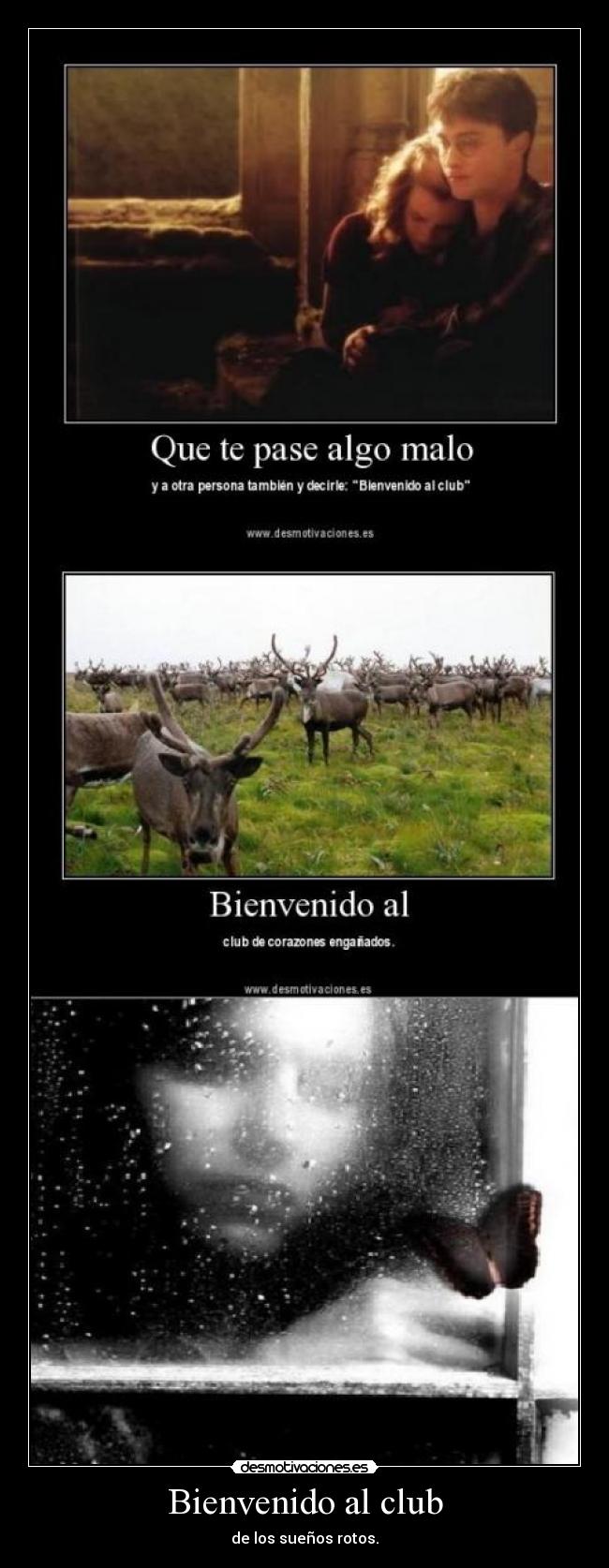 Bienvenido al club - de los sueños rotos.