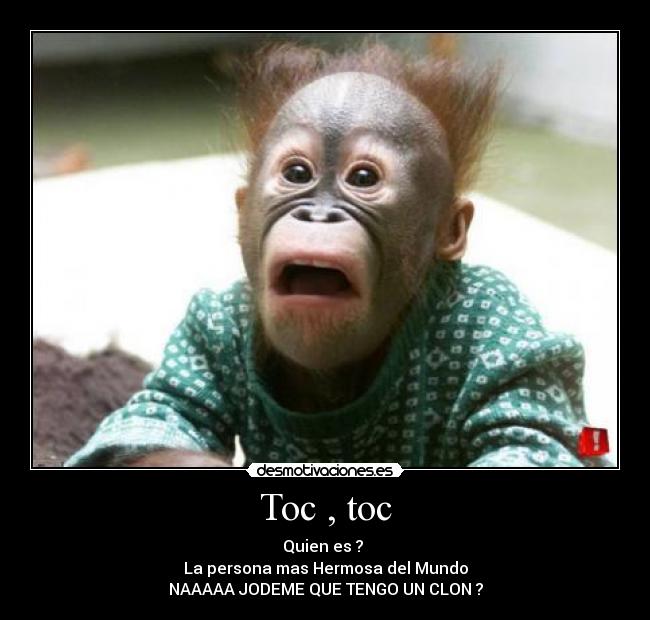 carteles toc toc desmotivaciones