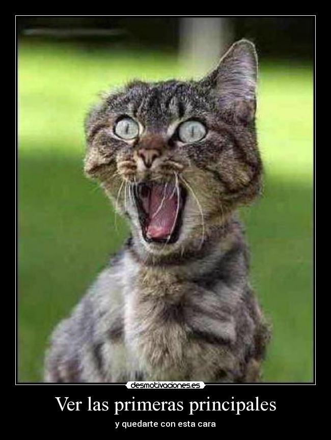 Ver las primeras principales - y quedarte con esta cara