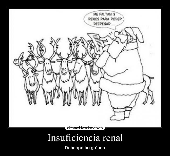Insuficiencia renal -