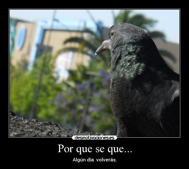 Por que se que... - 