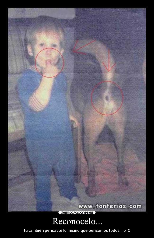 Reconocelo... - tu también pensaste lo mismo que pensamos todos... o_O