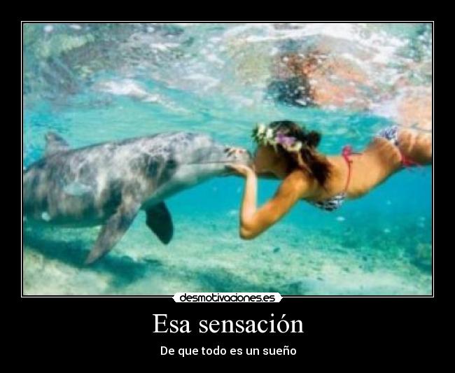 carteles dic desmotivaciones