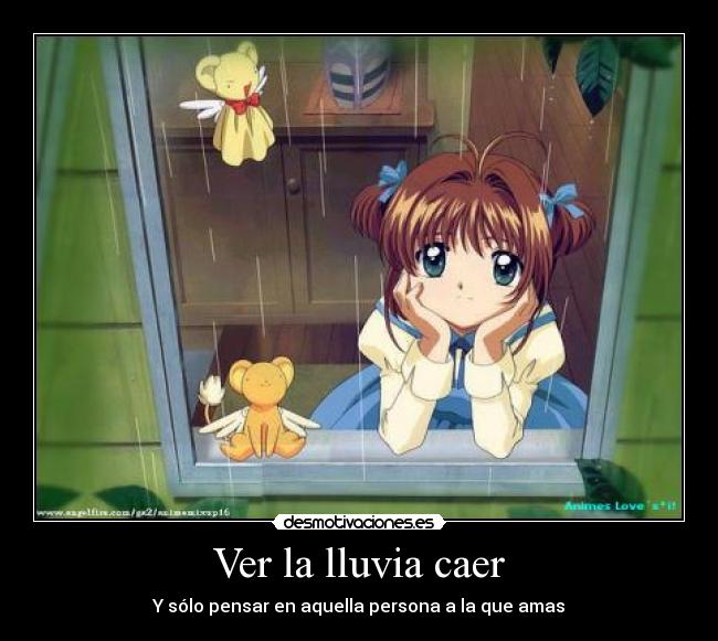 Ver la lluvia caer - 