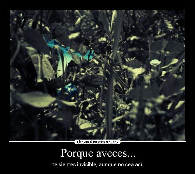 Porque aveces... -