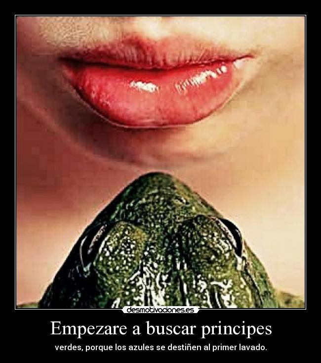 Empezare a buscar principes -