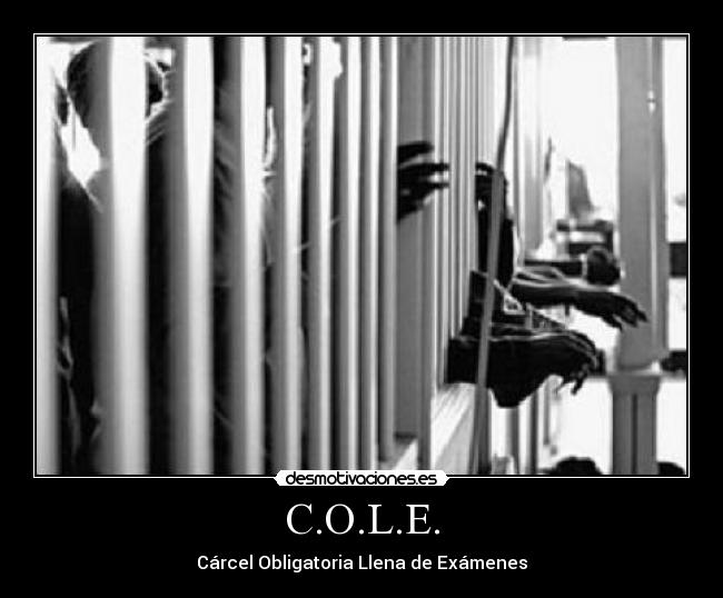 C.O.L.E. - Cárcel Obligatoria Llena de Exámenes