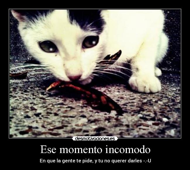 Ese momento incomodo - En que la gente te pide, y tu no querer darles -.-U