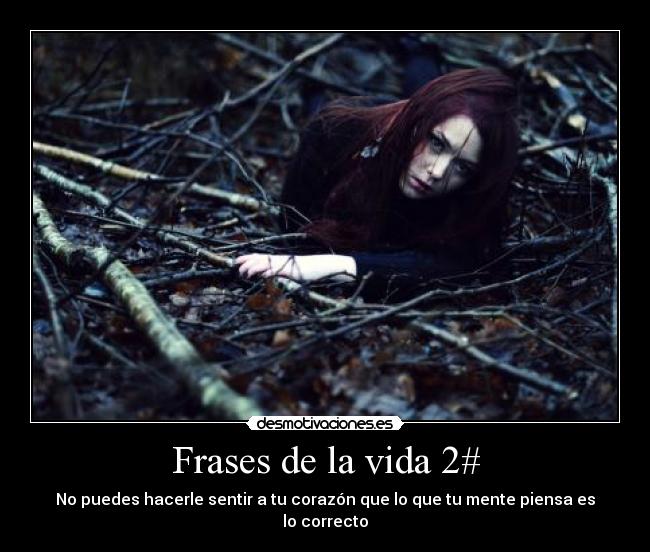 carteles frases vida frases desmotivaciones