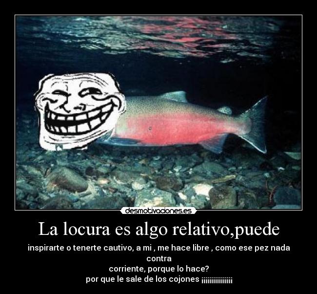 carteles locura locura algo relativo por que sale los cojones desmotivaciones