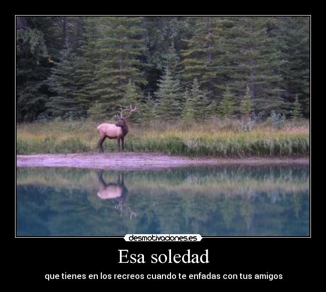 Esa soledad - que tienes en los recreos cuando te enfadas con tus amigos