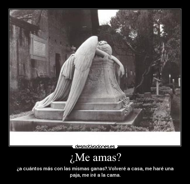 ¿Me amas? - 