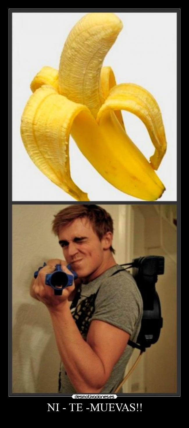 NI - TE -MUEVAS!! -