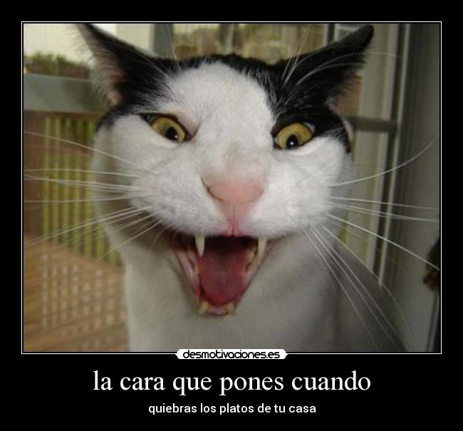 la cara que pones cuando - quiebras los platos de tu casa