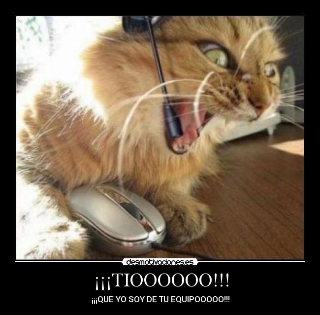 carteles equipo gatosjuego ordenador raton desmotivaciones