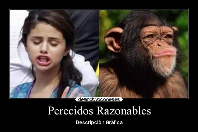 Perecidos Razonables - Descripciòn Gràfica