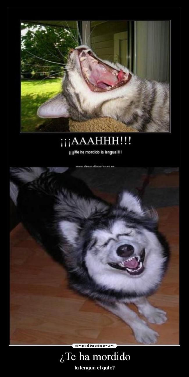 ¿Te ha mordido - 